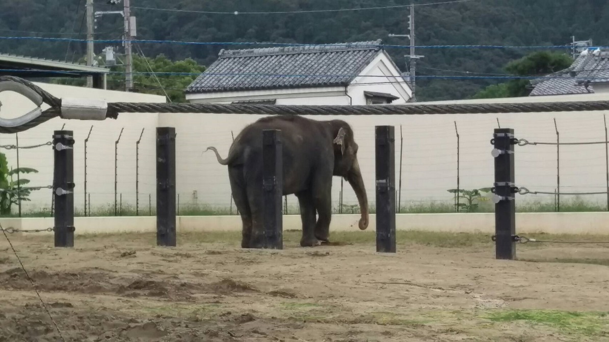 京都市動物園