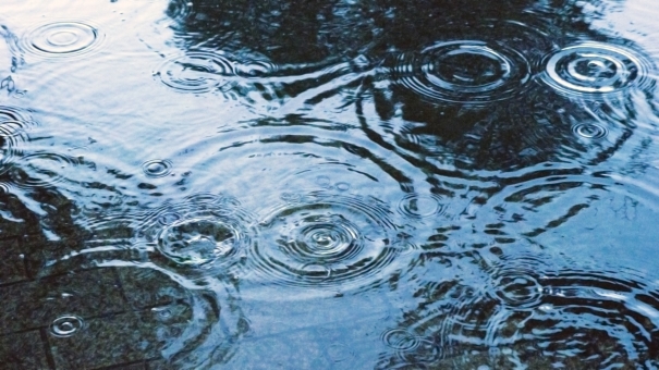 雨の日の過ごし方